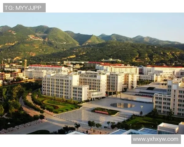 西安羽毛球队的转型之路与未来发展战略全面解析