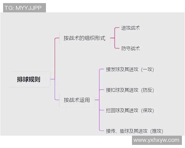 排球战术：重庆排球队的快攻体系